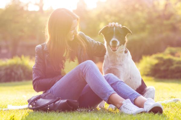 10 Gründe, warum Sie einen Hund haben - Sie werden es nicht bereuen!