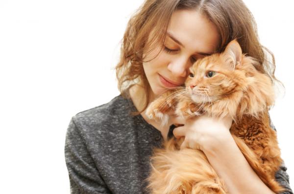 7 Möglichkeiten, meiner Katze zu zeigen, dass ich sie liebe