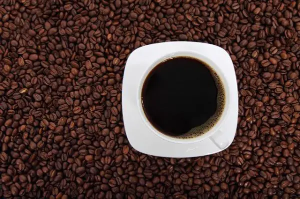 Wie Koffein das Nervensystem beeinflusst