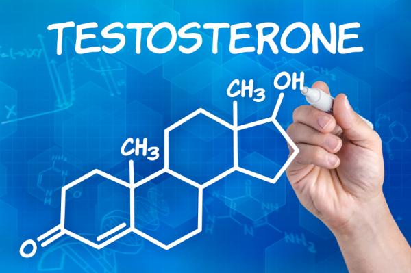 Wie man Testosteron erhöht