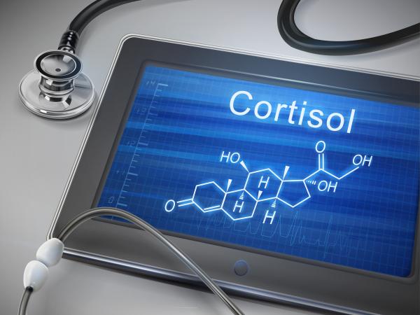Wie man hohen Cortisol senkt