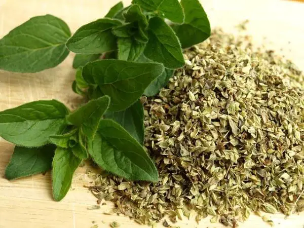 Wie man Pilze mit Oregano kuriert