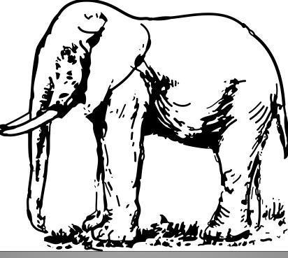 Wie man einen Elefanten zeichnet