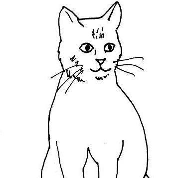 Wie zeichne ich eine Katze?