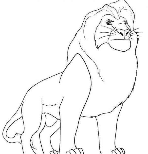 Wie man einen Löwen zeichnet
