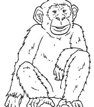 Wie man einen Affen zeichnet