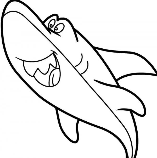 Wie zeichne ich einen Hai?
