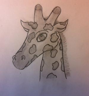 Wie man eine Giraffe zeichnet