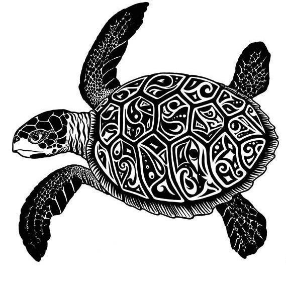Wie zeichne ich eine Schildkröte?