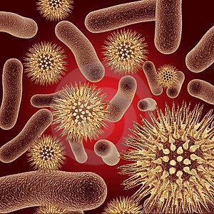 Wie man verhindert, dass Bakterien den Darm erreichen