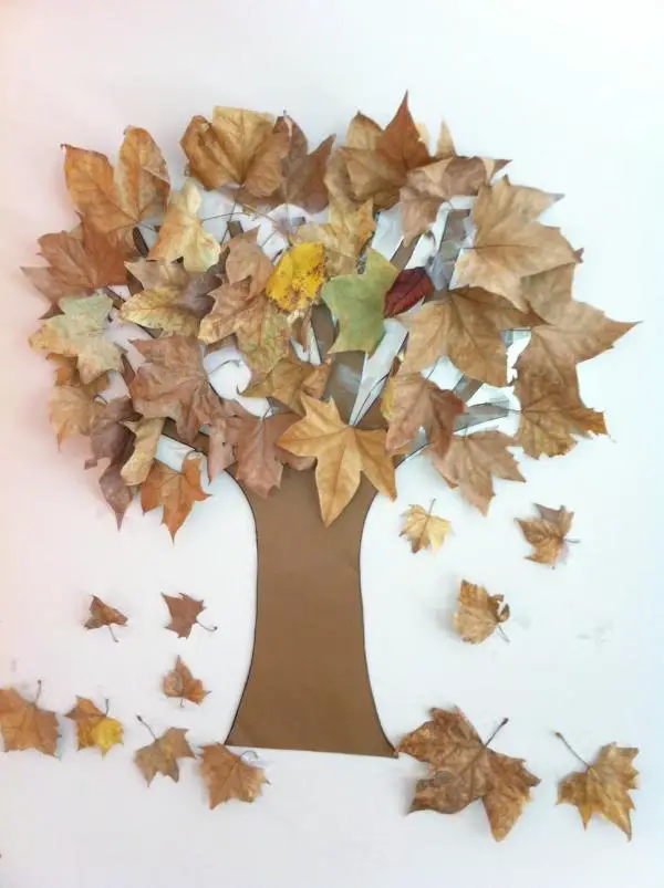 Wie man einen Herbstbaum zum Dekorieren macht