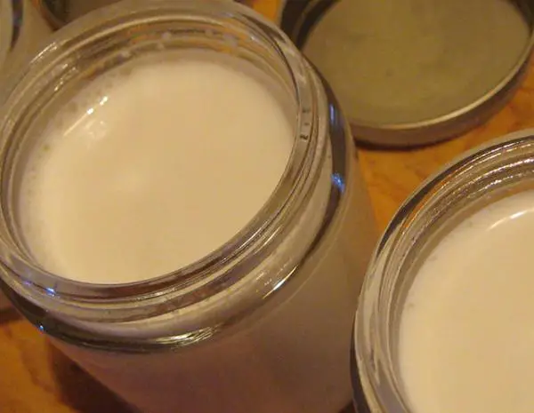 Wie man einen Joghurt mit Rohmilch macht