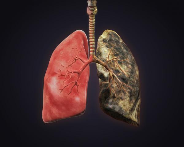 Wie man die Lungen nach dem Rauchen säubert