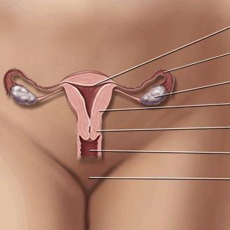 Wie man Gebärmutterhalskrebs effektiv verhindert