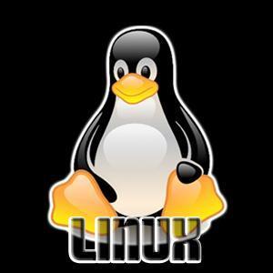 Wie man RAM-Speicher in Linux testet