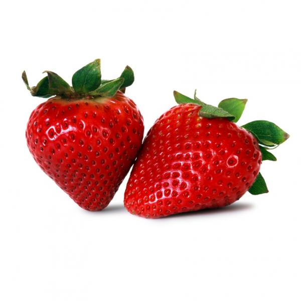 Wie man Erdbeeren mit Läufern reproduziert