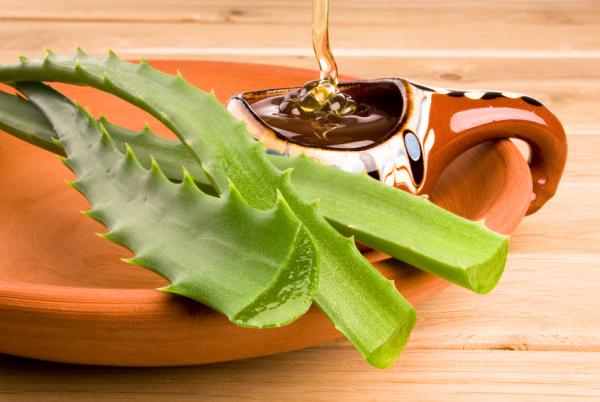 Wie man Aloe Vera für Gastritis nimmt