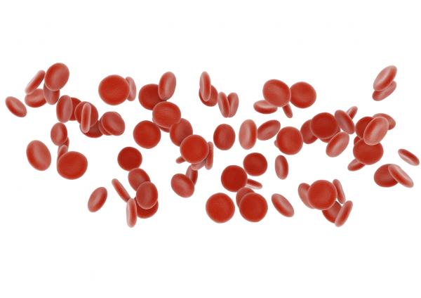 Welche Funktion haben rote Blutkörperchen?