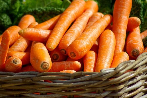 Eigenschaften der Karotte für Gesundheit