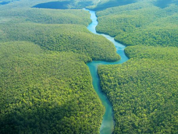 Welche Länder der Amazonas durchquert