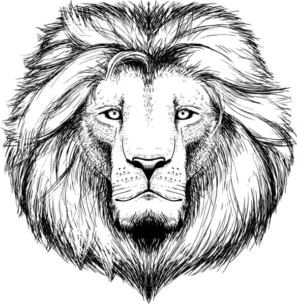 Bedeutung von Löwentattoos