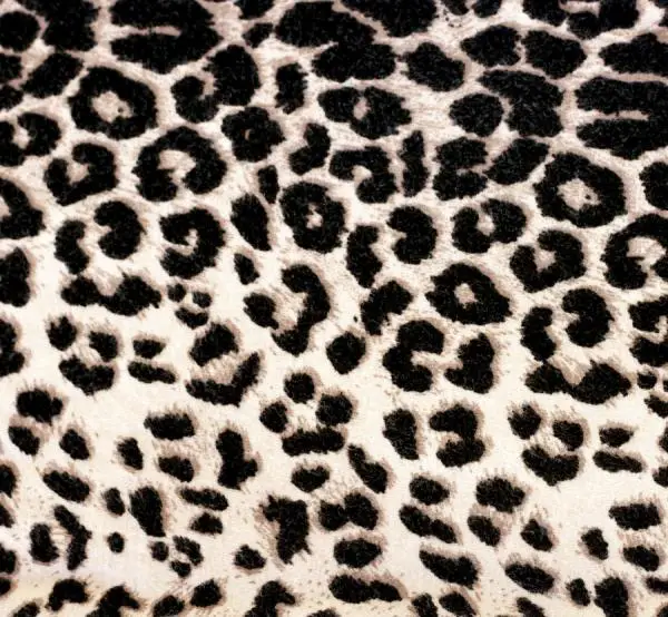 Wie man Leopard Leggings trägt