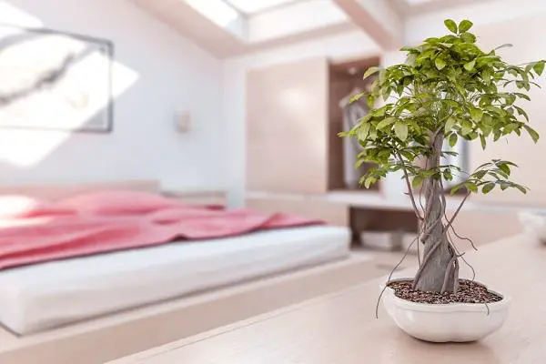 Wie man ein Schlafzimmer nach Feng Shui dekoriert
