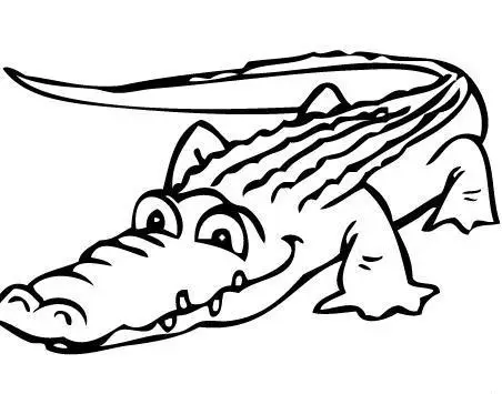 Wie man ein Krokodil zeichnet