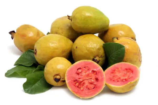 Wie man Guavenmarmelade macht