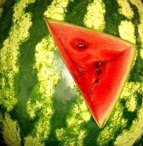 Wie man ein Wassermelonensorbet macht