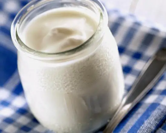 Wie man selbstgemachten skim Joghurt macht