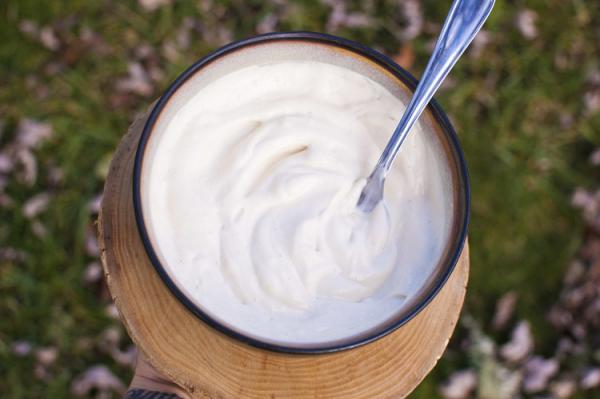 Wie man rohen Joghurt macht