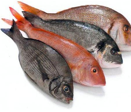 Wie man Fisch und Meeresfrüchte säubert