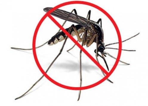 Wie man chikungunya verhindert