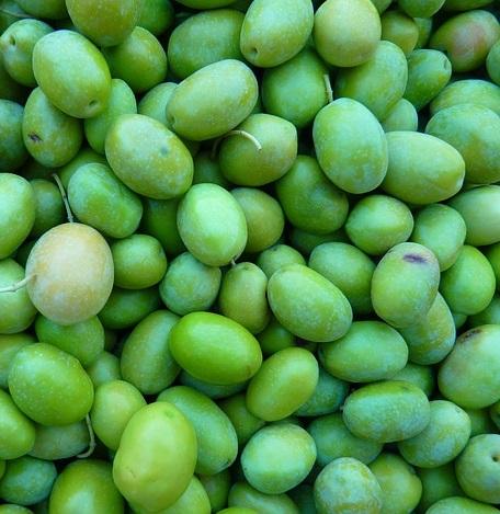 Wie man das bittere von den Oliven entfernt
