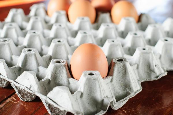 Wie man Eierbecher wiederverwendet