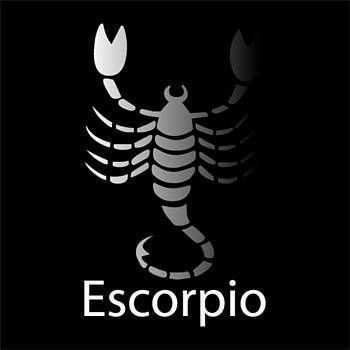 Wie man einen Skorpion verführt