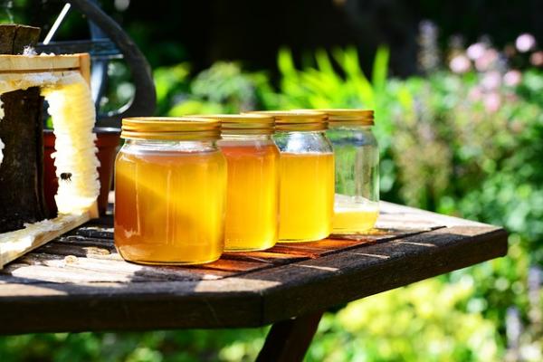 Kontraindikationen von Honig