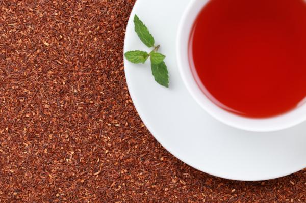 Kontraindikationen für roten Tee