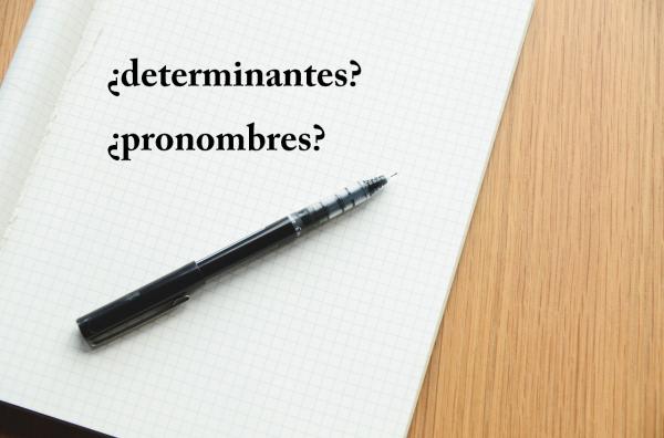 Was ist der Unterschied zwischen Determinanten und Pronomen?