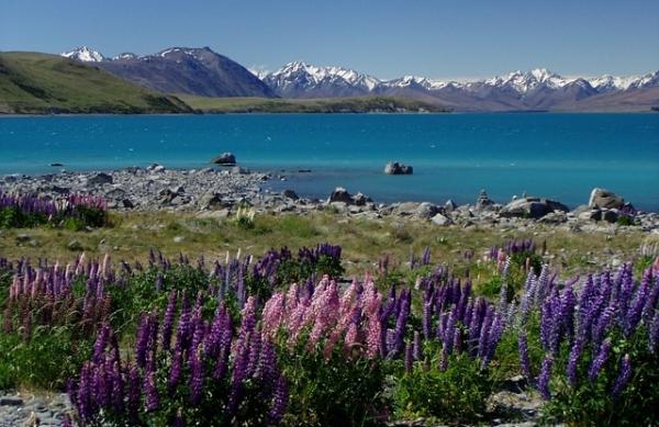 Was ist die beste Zeit nach Neuseeland zu reisen?