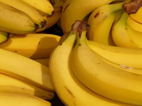 Was sind die Eigenschaften von Bananen?