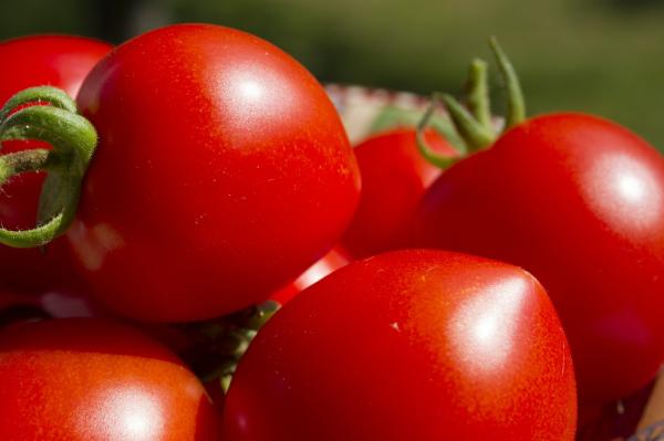 Ist die Tomate schlecht für Harnsäure?