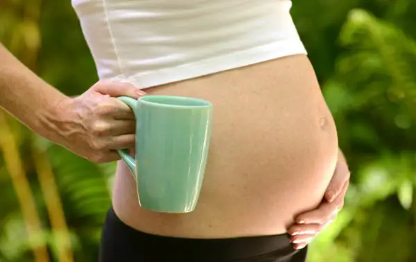 Kann ich während der Schwangerschaft grünen Tee trinken?