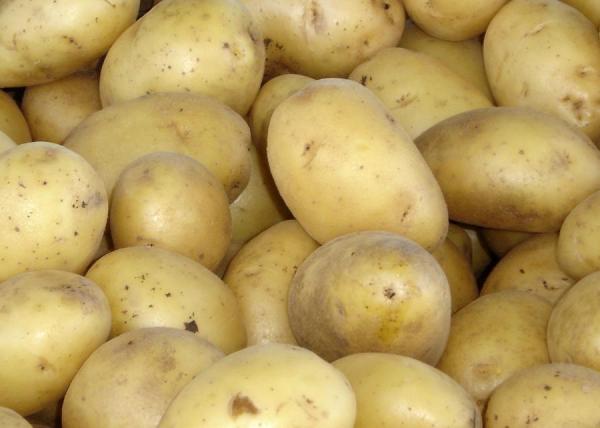 Wie man Kartoffeln konserviert