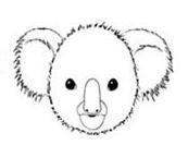 Wie man das Gesicht eines Koalas zeichnet