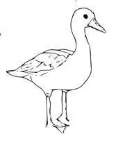 Wie zeichne eine Ente