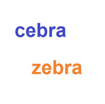 Wie man Zebra oder Zebra schreibt