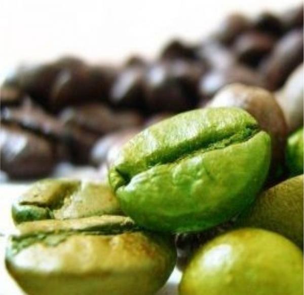 Wie man grünen Kaffee trinkt