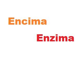 Was ist der Unterschied zwischen Enzym und Enzym?